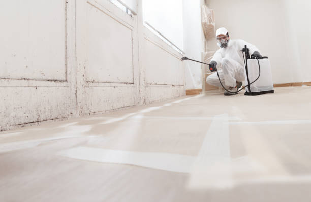 24/7 Emergency Attic Mold Remediation experts in Wakefield, VA